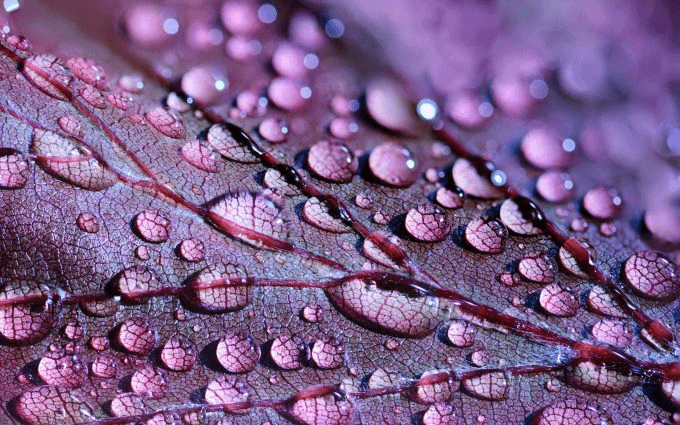 water-droplets